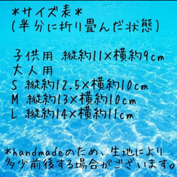 レースマスク＊大人用＊選べる裏地＊小池百合子都知事デザイン＊フラワーレース＊春夏マスク＊冷感＊不織布フィルター 3枚目の画像