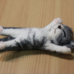 睡睡貓羊毛氈 第2張的照片
