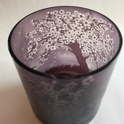 【父の日】猫のお花見タンブラー 8枚目の画像