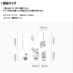  第5張的照片