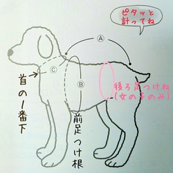 ヒッコリーストライプ★トレーナー 小型犬　S〜ＬL 10枚目の画像