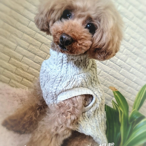 ダックス用ミルクティー色のあったか❤あみこみニット ダックスS ～L