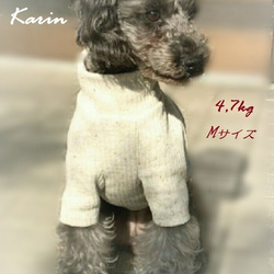 再販★ミルクティー色のリブニット☆  小型犬M 8枚目の画像