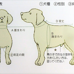 もちふわニット♪アランボーダーネイビー☆  小型犬S 10枚目の画像