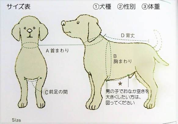 もちふわニット♪アランボーダーネイビー☆  小型犬S 10枚目の画像