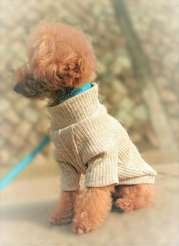 ミルクティー色のリブニット☆ 小型犬S～MSサイズ ペット服 