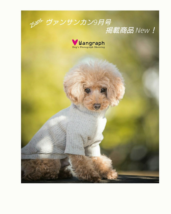 ミルクティー色のリブニット☆  小型犬S～MＳサイズ 3枚目の画像