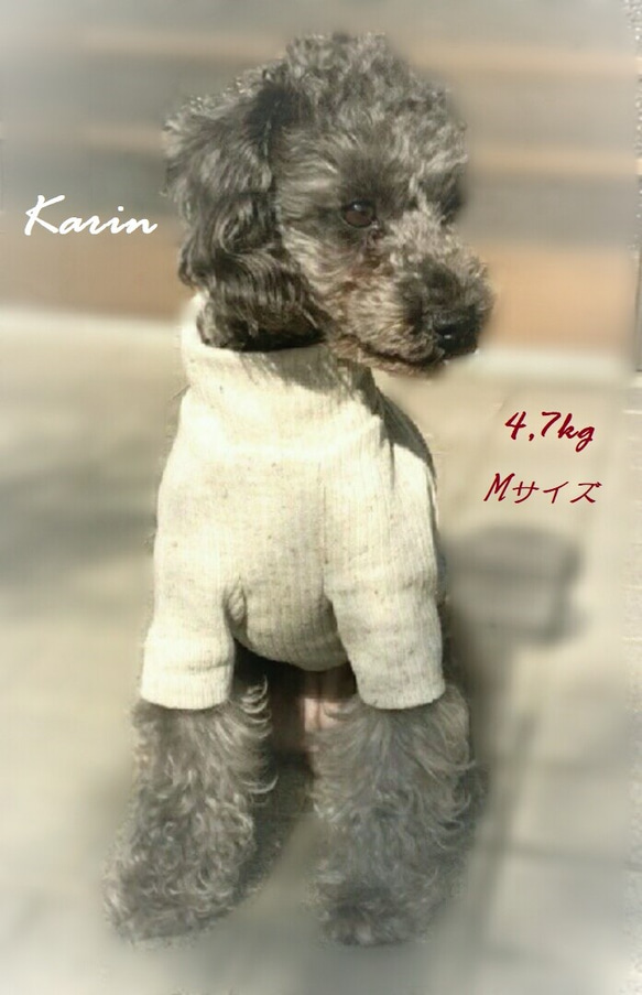 ミルクティー色のリブニット☆  小型犬S～MＳサイズ 8枚目の画像