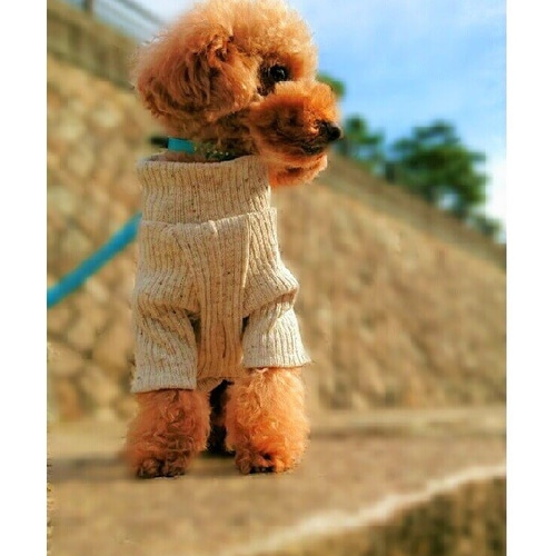 犬服 ハンドメイド モコモコ×ベージュハイネック SSサイズ