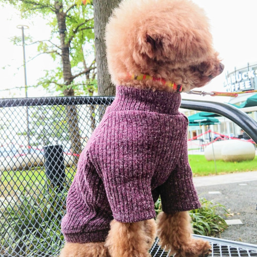 再販！あずき色のざっくり☆リブニット☆ 小型犬XS ペット服