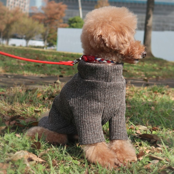 LL★チョコレートブラウン色のリブニット☆  小型犬LLサイズ 7枚目の画像