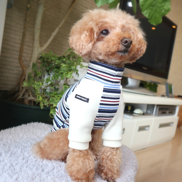 ネイビーリブニットの犬の服