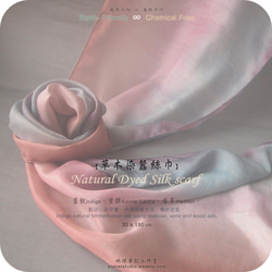 A49 ： Natural Hand Dyed Silk scarf ：草木染蠶絲巾 第3張的照片