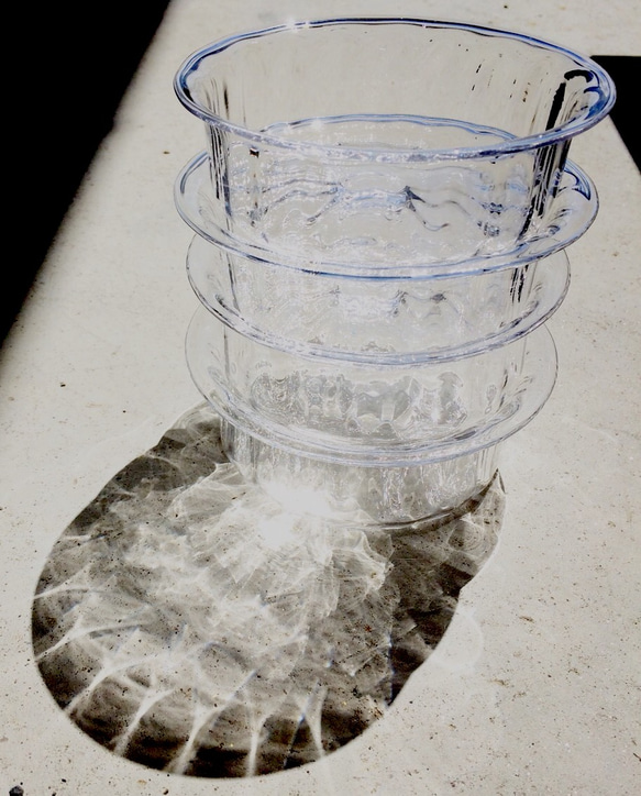 モール耳付きシャーレー S 3枚目の画像