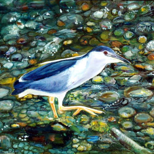 絵画　鳥　海 鳥シリーズ ゴイサギ 油彩 F8号 仮縁付き 絵画 art32m-k