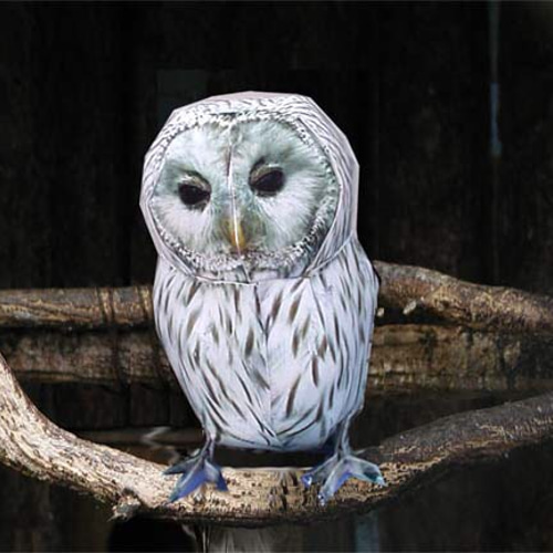 フクロウページ 1_5357ff4ad9f37688ff6e4b757aaf