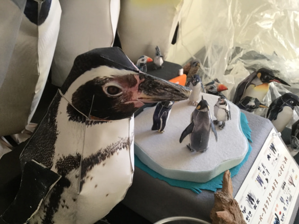 ２００５年 ハンズマインド賞受賞  鳥のペパクラ 3点セット フクロウ カワセミ ペンギン 6枚目の画像