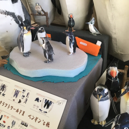 ペンギン剥製 ガラパゴスペンギン 23 | HANSA