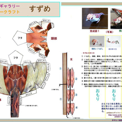 ペーパークラフト　シリーズ　第２集　Ａ4版　3枚 9枚目の画像