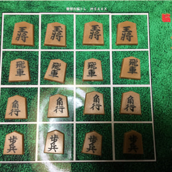 将棋クリプト ボードゲーム 完成品  王、飛車、角、歩 +ねこパズル&Seek10 1枚目の画像