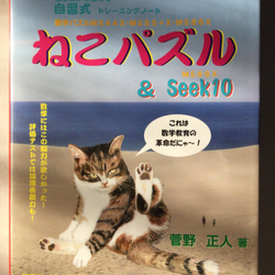 パンダ ダブルクリプト  魔方陣34作成器  完成品 ＋拙著 ３冊 5枚目の画像