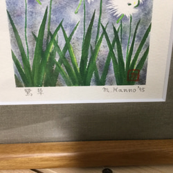鷺草　　水彩ステンシル版画 額入り １９９５年作 4枚目の画像