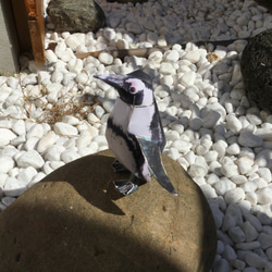 ケープペンギン ペーパークラフト　シリーズ　第６集　Ａ4版　3枚で送料込み 500円　 10枚目の画像