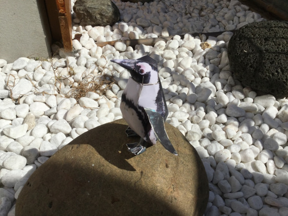 ケープペンギン ペーパークラフト　シリーズ　第６集　Ａ4版　3枚で送料込み 500円　 10枚目の画像