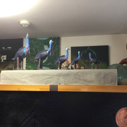 カソワリー ペパクラ  大小セット Ａ４版 ５枚 プリント 3枚目の画像