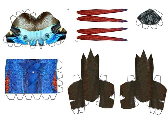 カソワリー ペパクラ  大小セット Ａ４版 ５枚 プリント 6枚目の画像