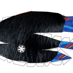 カソワリー ペパクラ  大小セット Ａ４版 ５枚 プリント 8枚目の画像