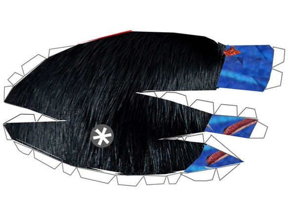 カソワリー ペパクラ  大小セット Ａ４版 ５枚 プリント 8枚目の画像