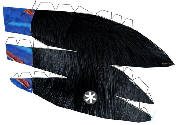 カソワリー ペパクラ  大小セット Ａ４版 ５枚 プリント 9枚目の画像