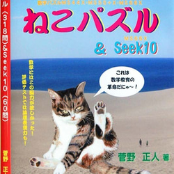 魔方陣のDNA  オブジェ  フロストビーズ (１０ｍｍ×１６個 )バージョン&ねこパズル１冊 5枚目の画像