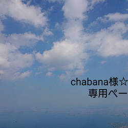 chabana様の専用ページ 1枚目の画像