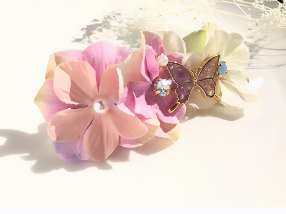 - 新的春天 - 蝴蝶花卉瓦萊塔 第2張的照片