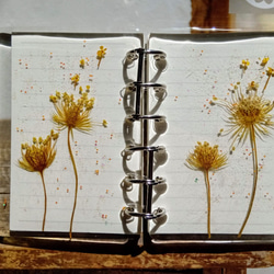 植物花卉手札筆記本 | 日記本 | 個性化筆記本 | 祝福 第3張的照片