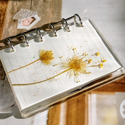 植物花卉手札筆記本 | 日記本 | 個性化筆記本 | 祝福 第4張的照片
