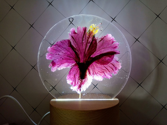 手作り押し花ヒーリングLEDナイトライト|ハイビスカスナイトライト（接着剤タイプ） 3枚目の画像