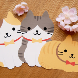 Meow Cat Neko 貓貓明信片 (一套3款) 第2張的照片