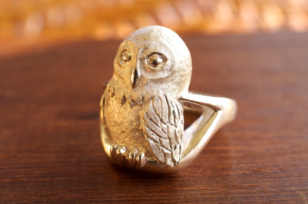 Sv 枝にとまっている梟　リング