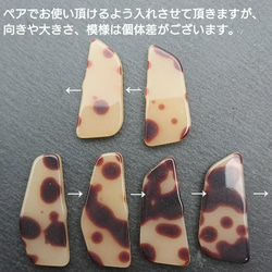 【cbtt533acrc】【6個】polygon resin cabochon　 5枚目の画像