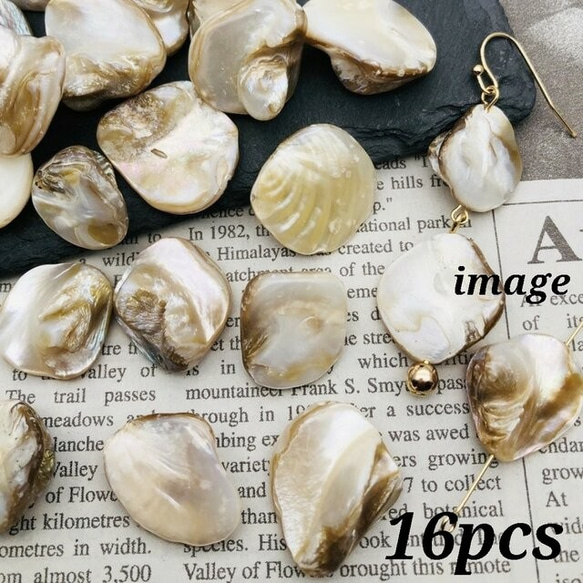 ハンドメイド応援♪特価品【woos4019brsr】【16pct】 natural shell chip beads　 1枚目の画像