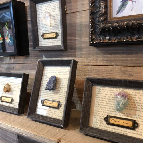 原石ディスプレイ 鉱物標本 インテリア 『フローライト』 フォト