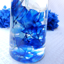 【再販10以上】ハーバリウム　～champ de fleure（シャンドゥフルール）～　bleu 3枚目の画像