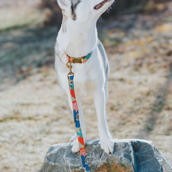 トロピカルリーフ　小型犬首輪　アンティークゴールド 4枚目の画像