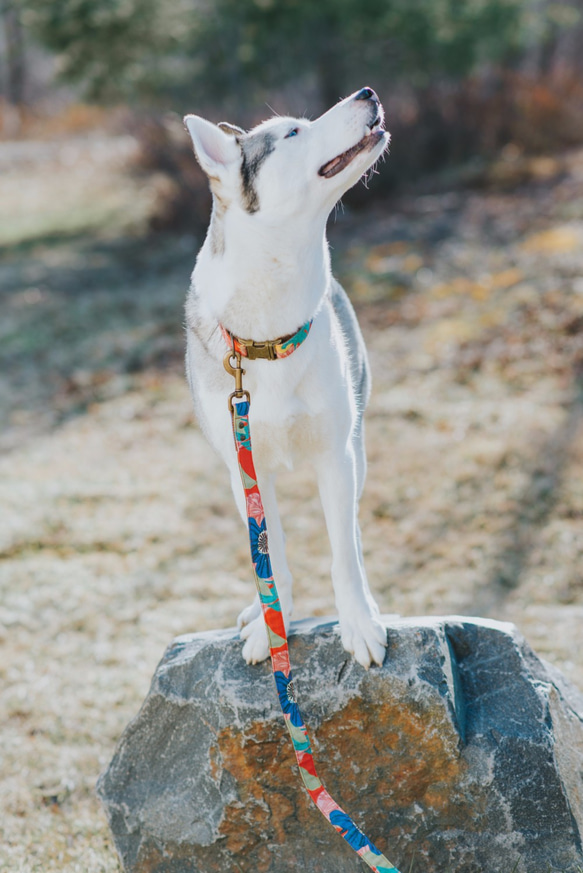 トロピカルリーフ　小型犬首輪　アンティークゴールド 4枚目の画像