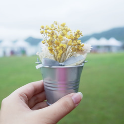 [Q-かわいい]ドライフラワーの小さな鉢植えのシリーズ - 星空 2枚目の画像