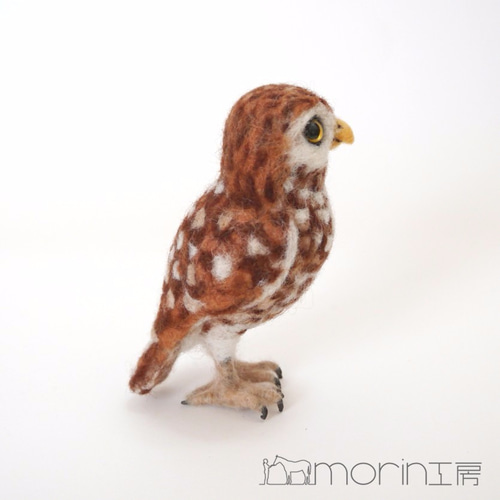 羊毛フェルト アナホリフクロウ 羊毛フェルト morin工房 HIROKO