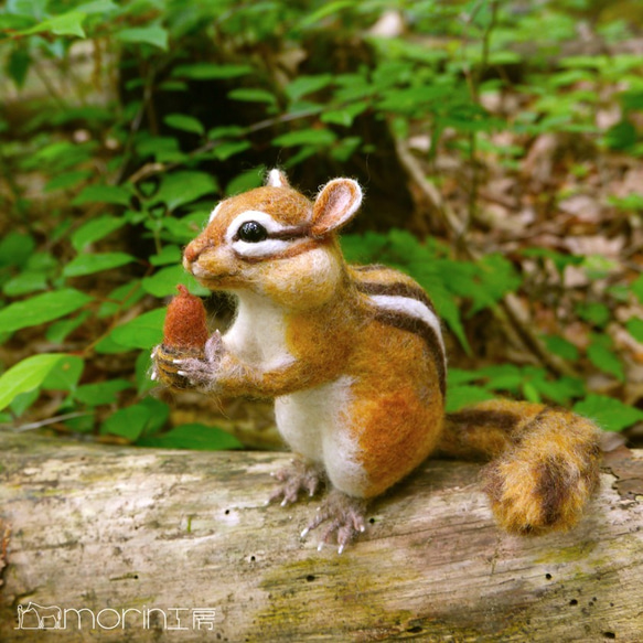 羊毛フェルト　シマリス(お座りポーズ) 10枚目の画像